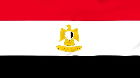 Egyptian flag with eagle emblem waving in the wind Stock Footage 343573206