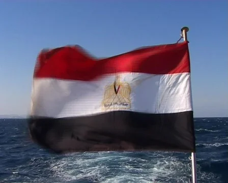  Egyptian flag on the wind Stock Footage 458694