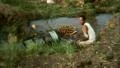 Egyptian Folks at Work Farmer Water Irrigation - Vintage Super 8mm Film HD Footage