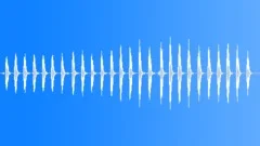 Egyptian goose calling Sound Effect