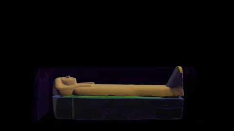 EGYPTIAN SARCOPHAGUS - Structure scheme Stock Footage
