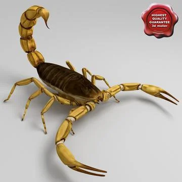 Egyptian Scorpion ~ 3D Модель # 91389472 | Pond5