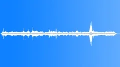 Egyptian Vulture MD Calls Sound Effect