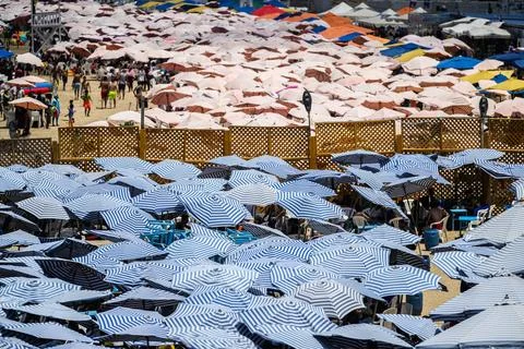 Egypt's Alexandria attempts to mitigate risks of climate change - 27 Jul 2025 Stock Photos