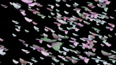 Ehmotion HD btf0106 Stock Footage 716510