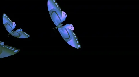 Ehmotion HD btf0120 Stock Footage 716556