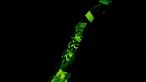 Ehmotion HD cba0202 Stock Footage 719178