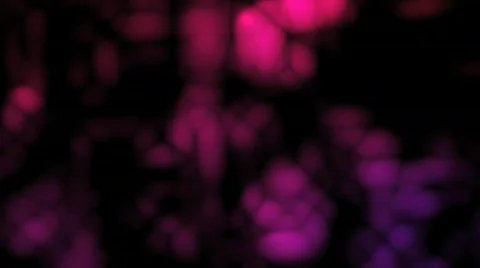 Ehmotion HD frn0217 Stock Footage 717786