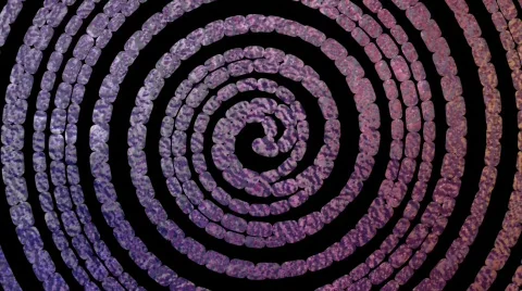 Ehmotion HD hyp0215 Stock-Footage 719035