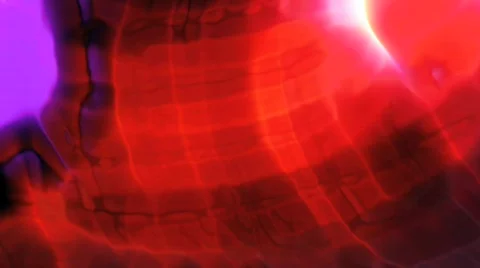 Ehmotion HD rae0307 Stock Footage 714685