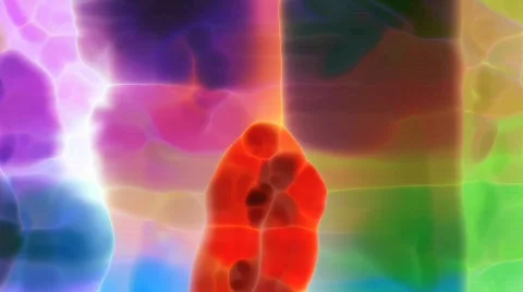 Ehmotion HD rae0416 Stock Footage 714591