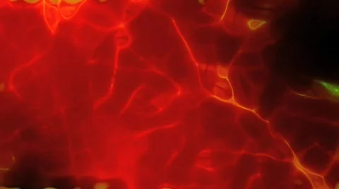Ehmotion HD rua0705 Stock Footage 716289