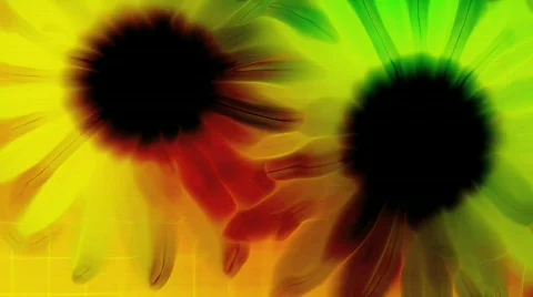 Ehmotion HD rua0706 Stock Footage 716142