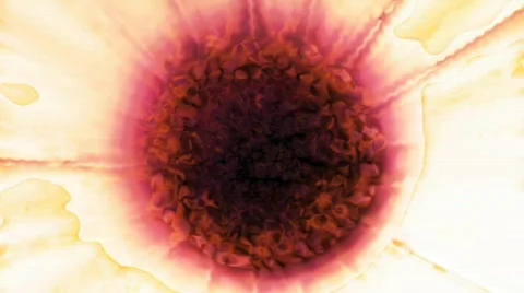 Ehmotion HD rua0709 Stock Footage 716201