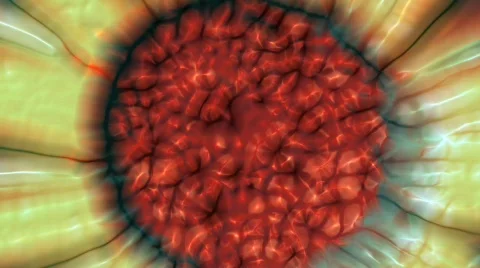 Ehmotion HD rua0711 Stock Footage 716212