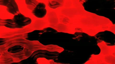 Ehmotion HD spr0206 Stock Footage 719647