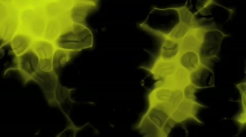 Ehmotion HD spr0209 Stock Footage 719651