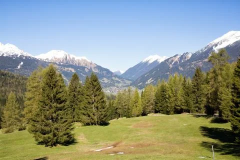 Ehrwald Alp Meadows Stock Photos