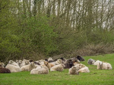 Eibergen in the netherlands Foto stock