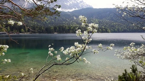 Eibsee spring Stock Footage 101101826