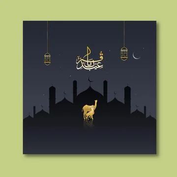 Eid ul-Adha Mubarak Post with Golden Arabic Calligraphy, Silhouette Camel a.. Stock Illustration