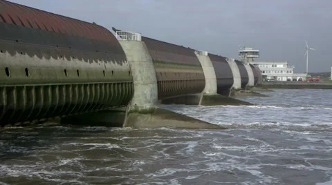 Eider Damm Video stock 61958115