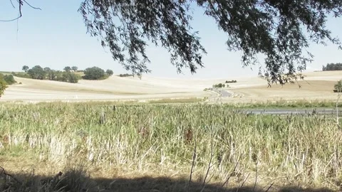 Eifel, Germany - 08 10 2026: View across calm swampland to a busy road 库存影片 341889506