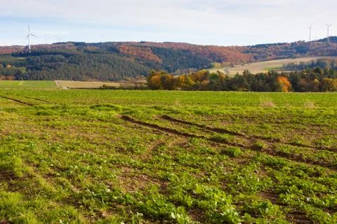Eifel landscape, germany. Stock Photos