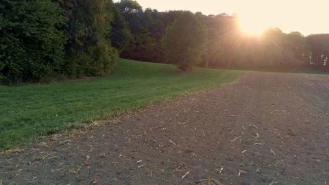 Eifel landscape sunset forest flying along forest border Stock Footage 97053147