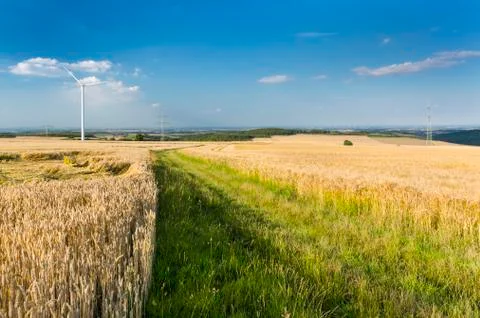 Eifel Summer Fields, Germany Stock Photos