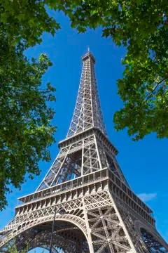 Eifel Tower with tree Foto stock