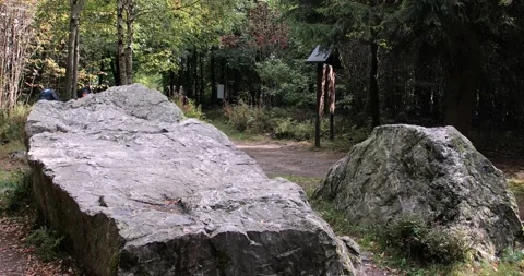 Eifelsteig hiking trail Stock Footage 141100748