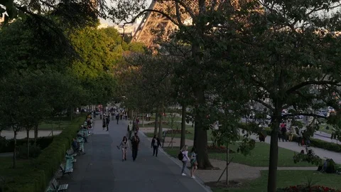 The Eiffel Tour in Paris in evening vertical slide with green trees crowns Stock Footage 76350143