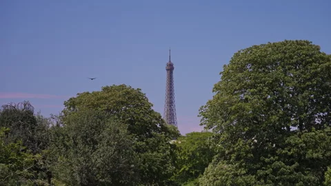 Eiffel Tower Above Trees In Paris Stock Footage 340232325