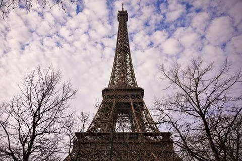 Eiffel Tower Among Bare Trees on a Bright Winter Day Stock Photos