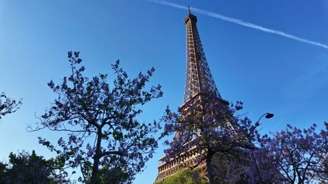 Eiffel Tower Among Spring Blossoms 動画素材 335292806