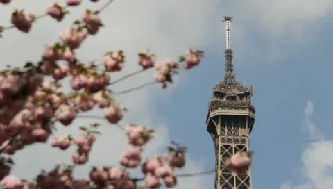 Eiffel Tower and Cherry Blossoms Stock Footage 10913032