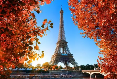 Eiffel Tower and maple tree in Paris, France Stock Photos