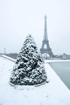 Eiffel tower and pine tree under the snow in winter - Paris Stock Photos