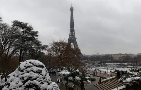 Eiffel tower and pine tree under the snow in winter - Paris 写真素材