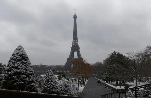 Eiffel tower and pine tree under the snow in winter - Paris 写真素材