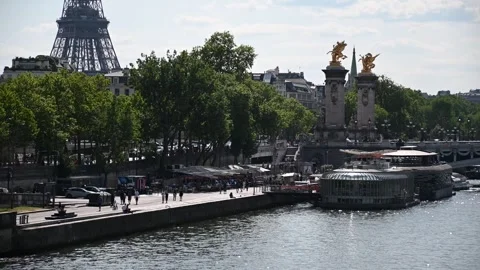 Eiffel Tower and Pont Alexandre III 動画素材 245379742