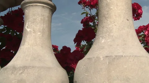 Eiffel Tower and Red Flowers Wide Shot Stock Footage 52883409
