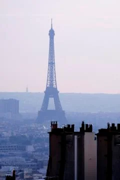 Eiffel Tower and rooftops Stock Photos