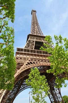 Eiffel Tower and spring trees Eiffel Tower and spring trees Copyright: xZo... Stock-Fotos