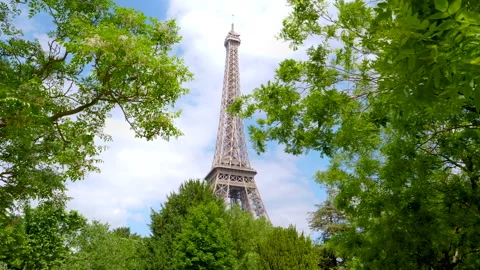 Eiffel Tower and tree branches with spring leaves Stock Footage 260697095