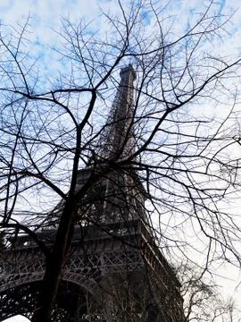 Eiffel tower and tree branches in paris in spring 스톡 사진