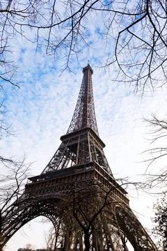 Eiffel tower and tree branches in Paris in spring eiffel tower and tree br... Stock-Fotos