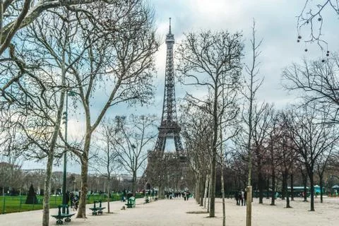 Eiffel Tower and Trees in Paris, France 스톡 사진