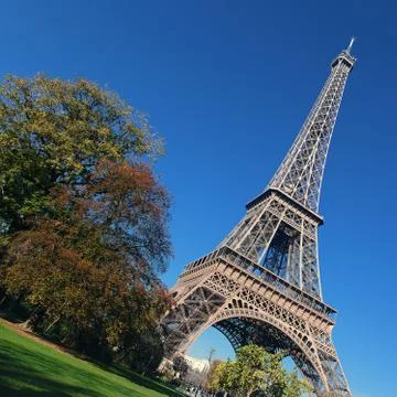 Eiffel tower and trees Stock Photos